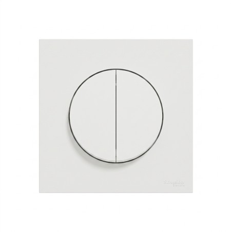 Odace Double inter/BP 250 V CA,