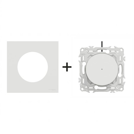 Odace Inter/BP lumineux + plaque Blanc Craie