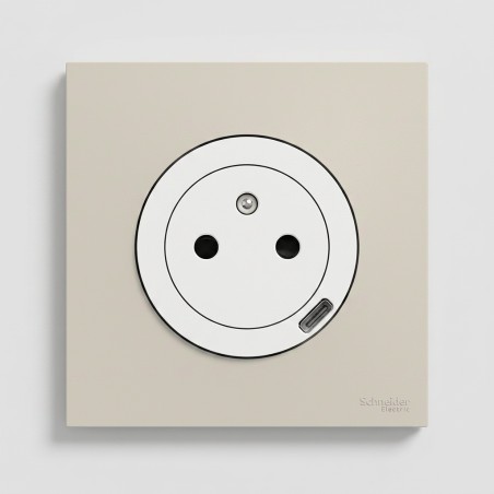 Odace Prise 250 V CA