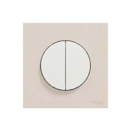Odace Double inter/BP 250 V