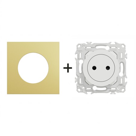 Odace Prise de courant 2P 250 V CA, 50 Hz + plaque Laiton-blanc
