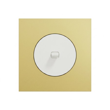 Odace Inter/poussoir à levier S920203 + plaque Laiton-blanc