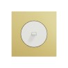Odace Inter/poussoir à levier S920203 + plaque Laiton-blanc