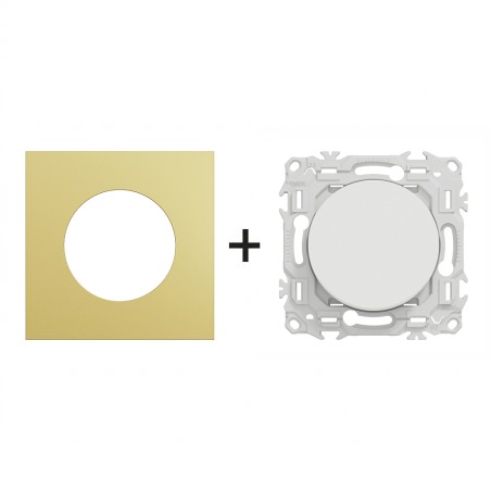 Odace Interrupteur/poussoir + plaque Laiton-blanc
