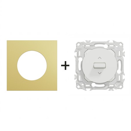 Odace Inter volets roulants 250 V CA, 50/60 Hz + plaque Laiton-blanc