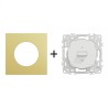 Odace Inter volets roulants 250 V CA, 50/60 Hz + plaque Laiton-blanc