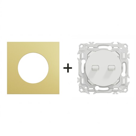 Odace Double Inter/BP à levier 10 AX par pôle + plaque Laiton-blanc