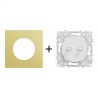 Odace Double Inter/BP à levier 10 AX par pôle + plaque Laiton-blanc