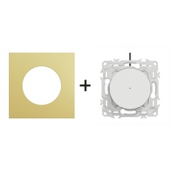 Odace Inter/BP lumineux S920263 + plaque Laiton-blanc