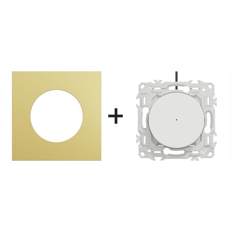 Odace Inter/BP lumineux 250 V CA, 50 Hz + plaque Laiton-blanc
