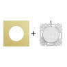Odace Inter/BP lumineux 250 V CA, 50 Hz + plaque Laiton-blanc