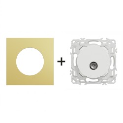 Odace Prise TV simple S920445 + plaque Laiton-blanc