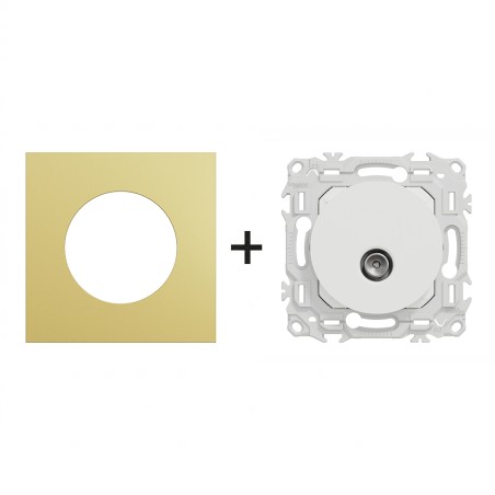 Odace Prise TV simple sortie coaxiale 9,52 mm + plaque Laiton-blanc