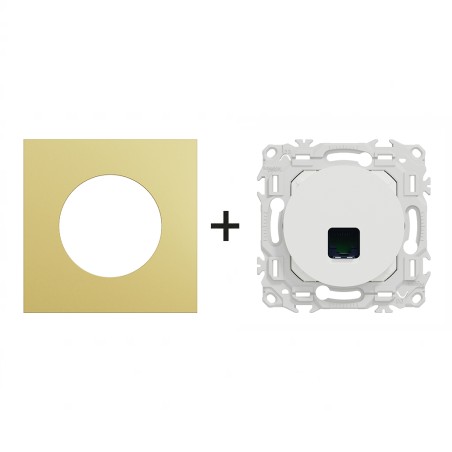 Odace Prise RJ45 Cat 6 UTP Jusqu'à 250 MHz + plaque Laiton-blanc