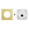 Odace Prise RJ45 Cat 6 UTP Jusqu'à 250 MHz + plaque Laiton-blanc