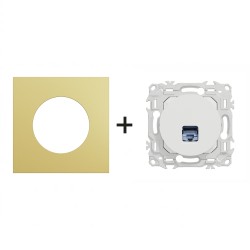 Odace Prise RJ45 Cat 6 STP S920476 + plaque Laiton-blanc