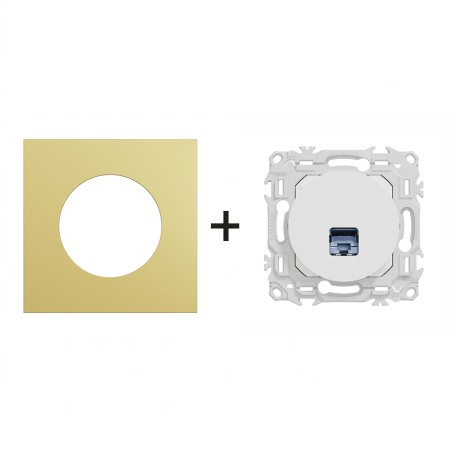 Odace Prise RJ45 Cat 6 STP 2TV minimum à 3TV + plaque Laiton-blanc