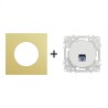 Odace Prise RJ45 Cat 6 STP 2TV minimum à 3TV + plaque Laiton-blanc
