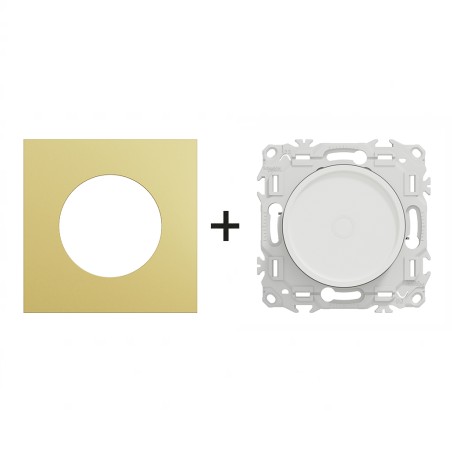Odace Variateur rotatif 230 V CA, 50 Hz + plaque Laiton-blanc