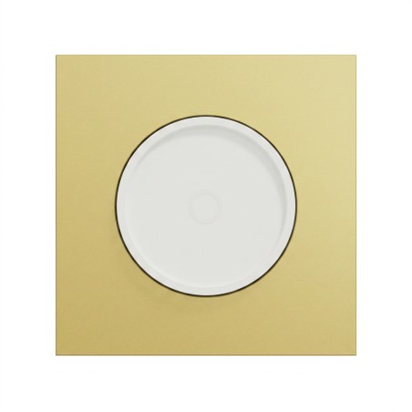 Odace Variateur rotatif S920519 + plaque Laiton-blanc