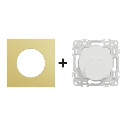 Odace Sortie de câble S920662 + plaque Laiton-blanc