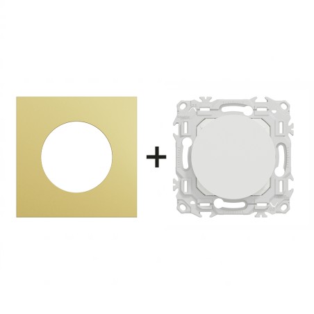 Odace Obturateur pré-perçage IP21D + plaque Laiton-blanc