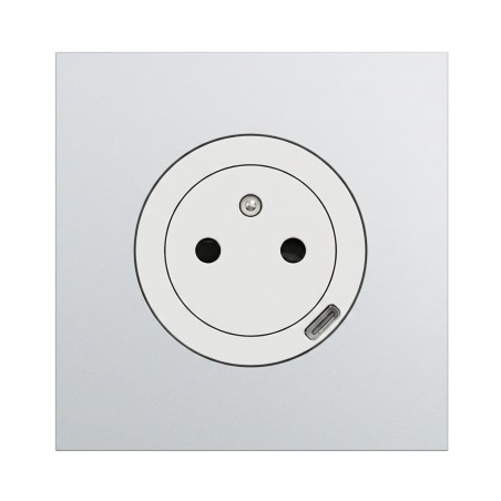 Odace Prise 250 V CA, 50 Hz