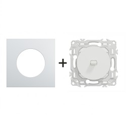 Odace Inter/poussoir à levier S920203 + plaque Alu-blanc