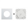 Odace Inter/poussoir à levier + plaque Alu-blanc