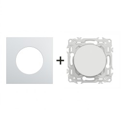 Odace Interrupteur/poussoir S920204 + plaque Alu-blanc