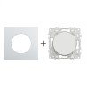 Odace Interrupteur/poussoir + plaque Alu-blanc