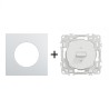 Odace Inter volets roulants 250 V CA, 50/60 Hz + plaque Alu-blanc
