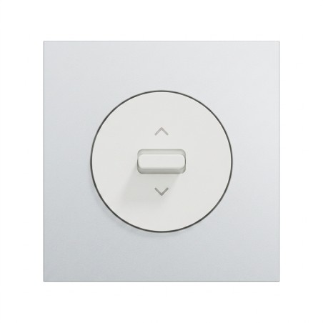 Odace Inter volets roulants S920208 + plaque Alu-blanc