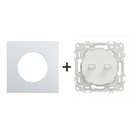 Odace Double Inter/BP à levier 10 AX par pôle + plaque Alu-blanc