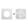 Odace Double Inter/BP à levier 10 AX par pôle + plaque Alu-blanc