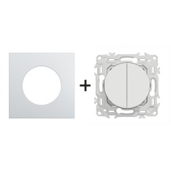 Odace Double inter/BP S920214 + plaque Alu-blanc