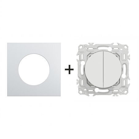 Odace Double inter/BP + plaque Alu-blanc