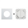 Odace Double inter/BP + plaque Alu-blanc