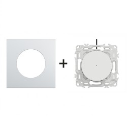 Odace Inter/BP lumineux S920263 + plaque Alu-blanc