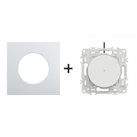 Odace Inter/BP lumineux + plaque Alu-blanc