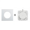Odace Inter/BP lumineux + plaque Alu-blanc