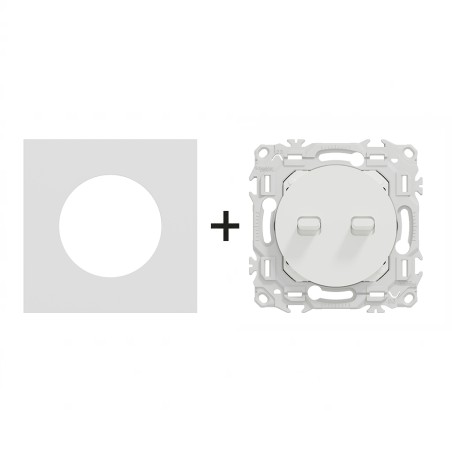 Odace Double Inter/BP à levier 250 V CA, 50/60 H z+ plaque Céramique