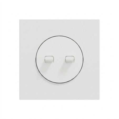 Odace Double Inter/BP à levier 250 V