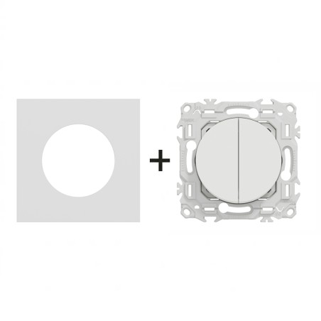 Odace Double inter/BP S920214 + plaque Céramique