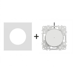 Odace Inter/BP lumineux S920263 + plaque Céramique