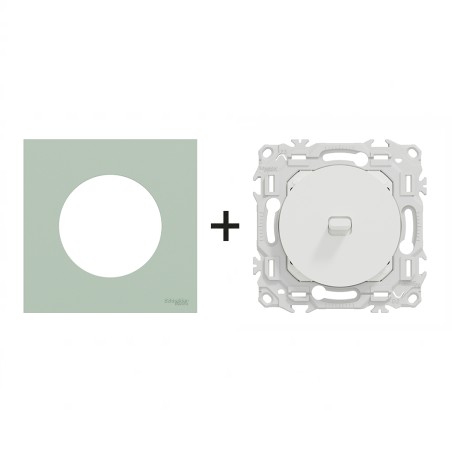 Odace Inter/poussoir à levier 250 V CA, 50/60 Hz + plaque Vert Jade