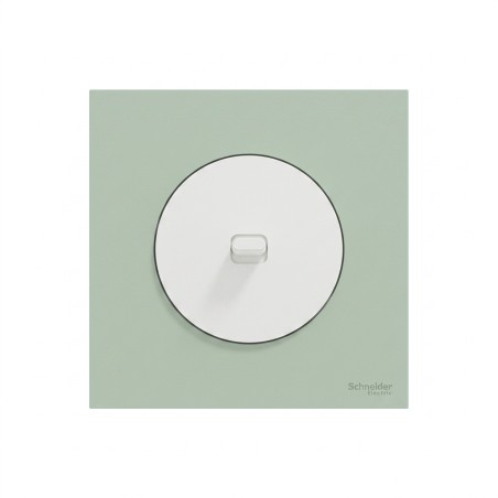 Odace Inter/poussoir à levier 250 V