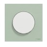 Odace Interrupteur/poussoir