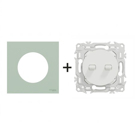 Odace Double Inter/BP à levier 250 V CA, 50/60 Hz + plaque Vert Jade