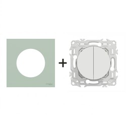 Odace Double inter/BP S920214 + plaque Vert Jade
